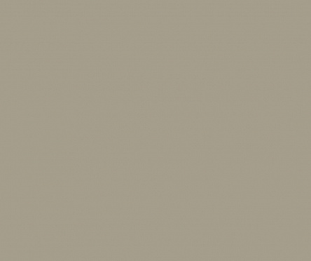 16мм ЛДСП 2750*1830 УД 4 группа - Трюфель DPR (ДРЕВЕСНЫЕ ПОРЫ) NEW