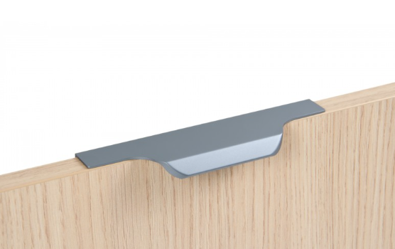 BRD RT111GR.1 ручка торцевая 150 мм TERA Серый (снято)