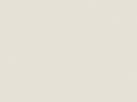 EGGER кромка ПВХ  0,8x19 мм Бело-серый U775 ST9 (заказ)