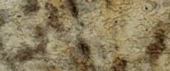 REHAU кромка ПВХ 1,5*43 мм DESIGNO Античный Маскарелло 1204U особый (в стопе)