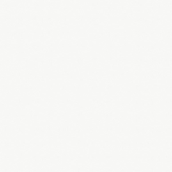 16мм ЛДСП 2800*2070 EGGER 5 группа (Э) - Белый Премиум W1000 ST9 стоп-лист