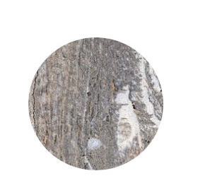 заглушки самоклеющиеся d-20 Бетон пайн экзотик 101019W