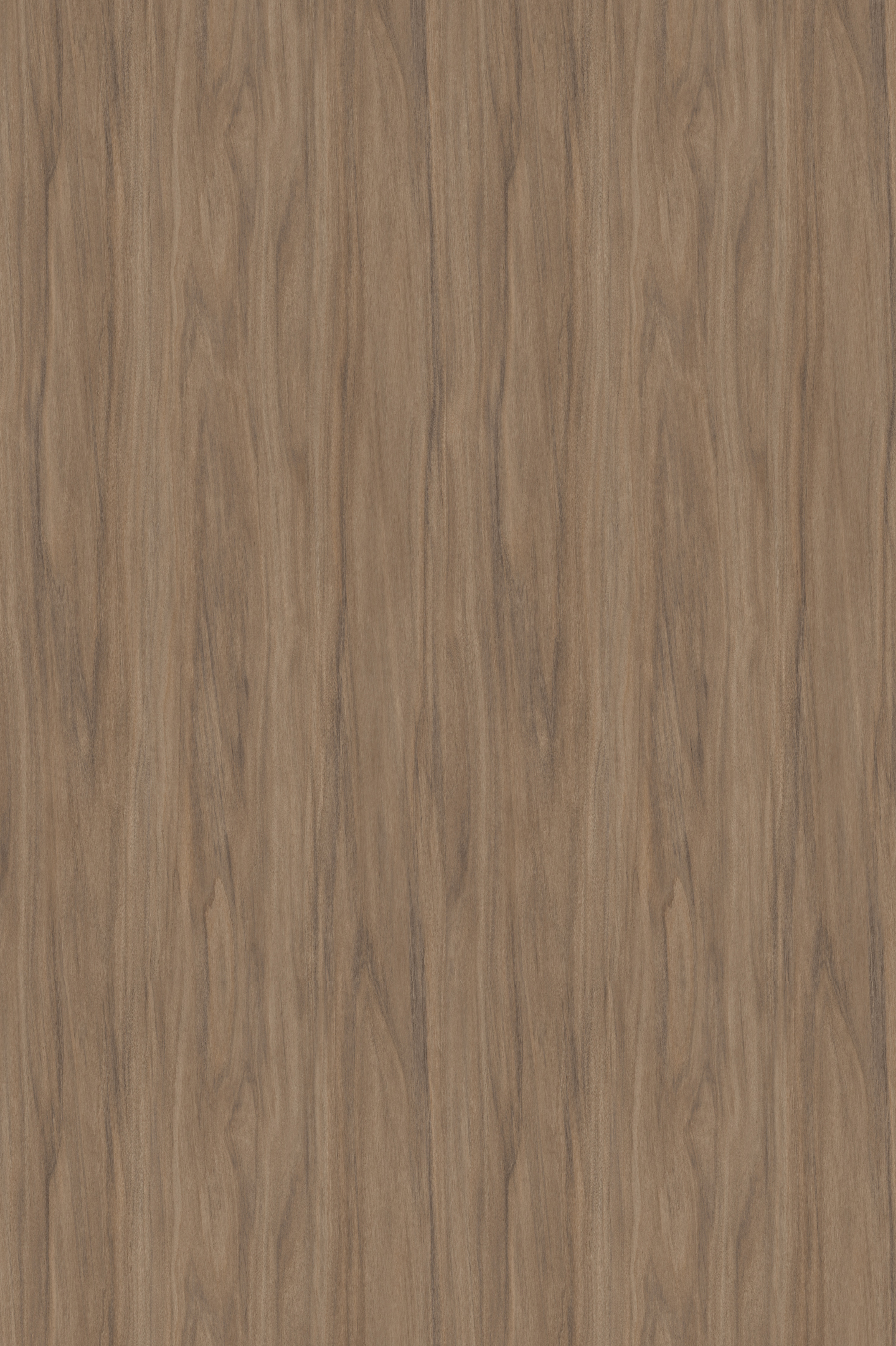 заглушки самоклеющиеся d-14 Афелия 101172W (20 шт)