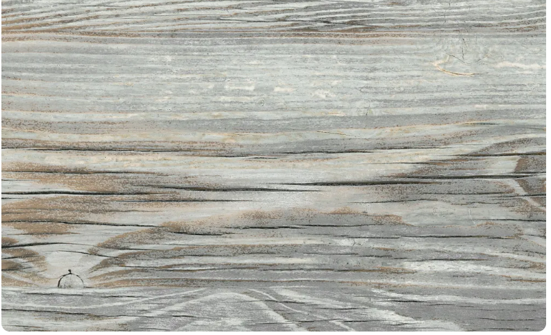 СЛОТЕКС кромка с клеем 38*3000 мм Painted Pine 8124 (заказная)