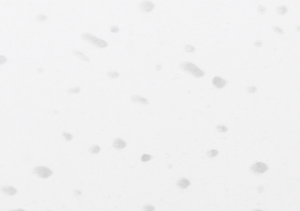 SITECH кромка ABC 1,5*42 мм Белый кристалл глянец 5902  (Искра белая)