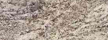 СЛОТЕКС кромка с клеем 28*3000 мм Гранит пепельный 6021 SALE