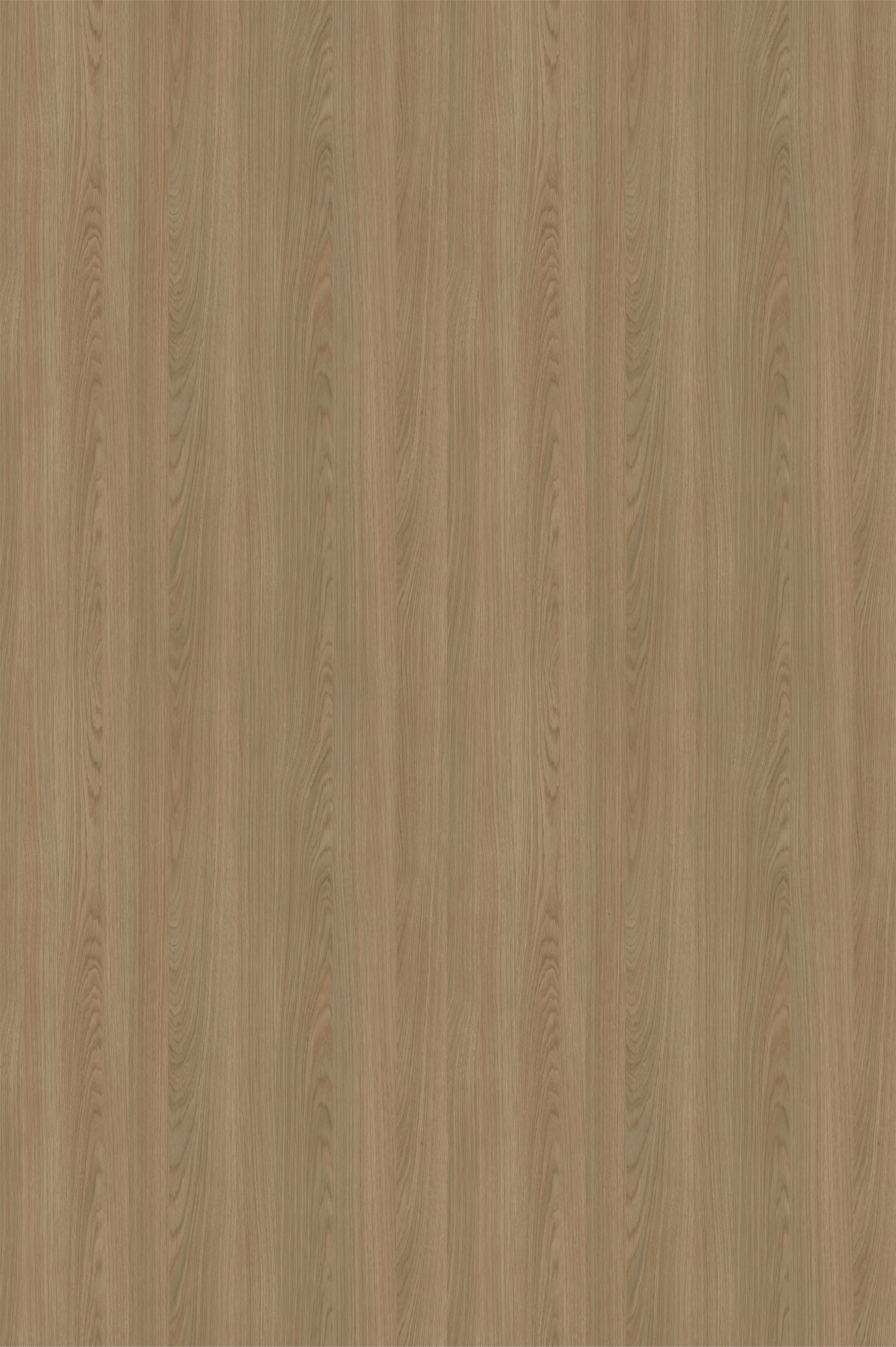 заглушки самоклеющиеся d-14 Дуб нейво 101170W (20шт)