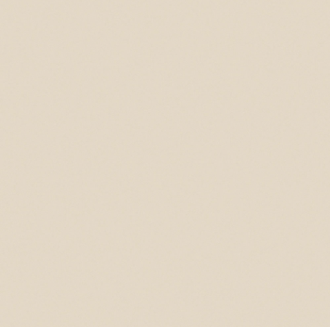Панель EVOGLOSS P209 18мм 2800*1220 Галактика кремовая (аналог 678 AGT)(заказ)