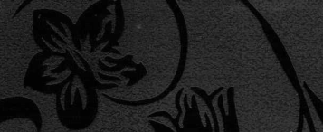 ДАНА кромка с клеем 38*3000 мм Черный (ГЛЯНЕЦ, м/о)