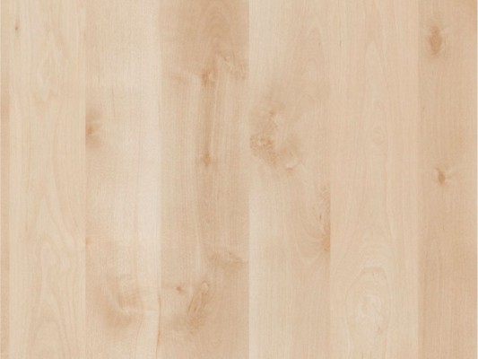 REHAU кромка ПВХ 2х19 мм TREND decor Береза северная 1168W SALE