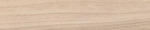 Кромка Меламиновая х19 мм Вяз барон (дуб атланта) R 5622