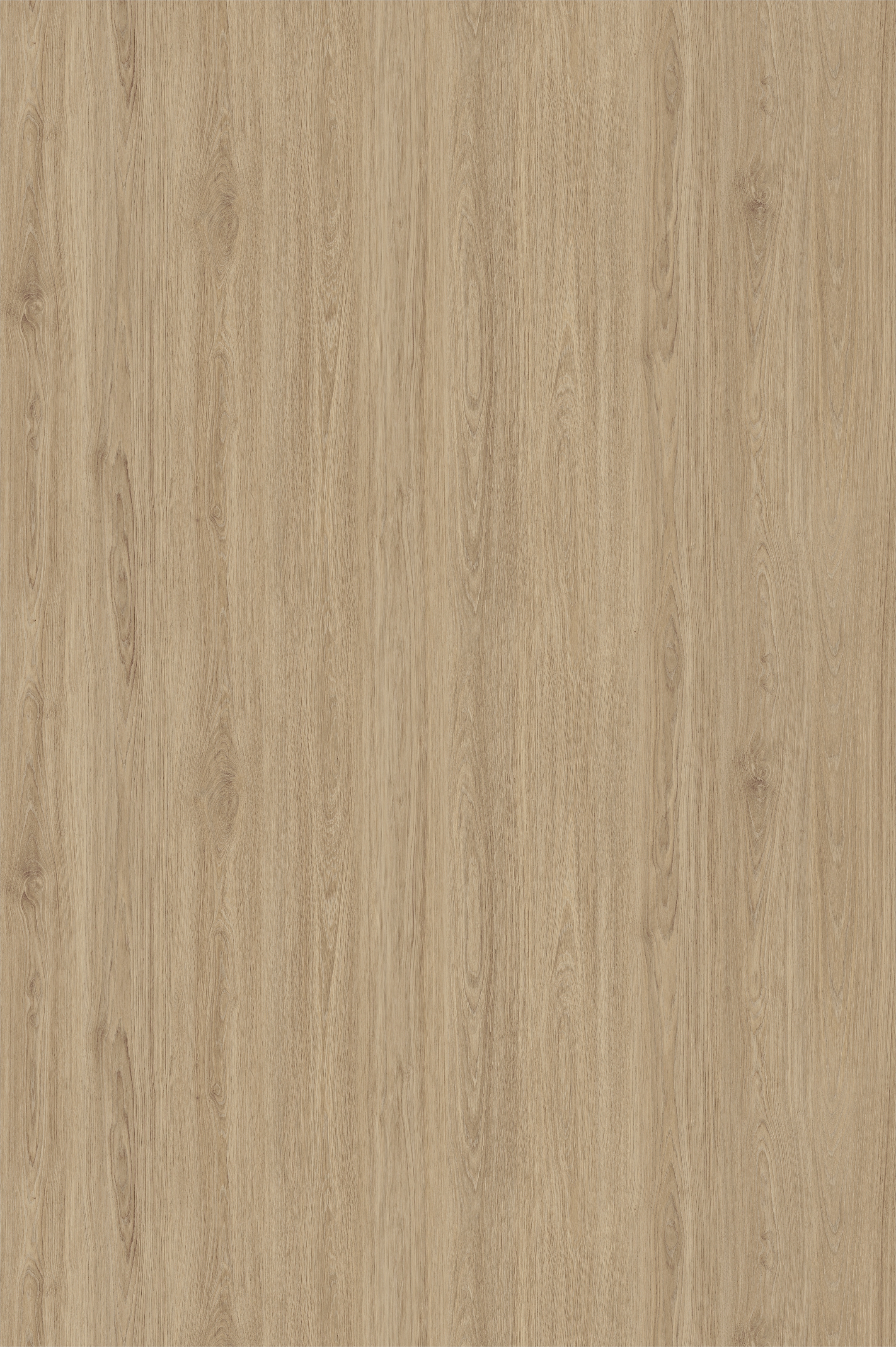 заглушки самоклеющиеся d-20 альберо 101004W