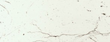 КЕДР МК кромка с клеем 28*3000 мм Мрамор Марквина белый 3028 (заказ)